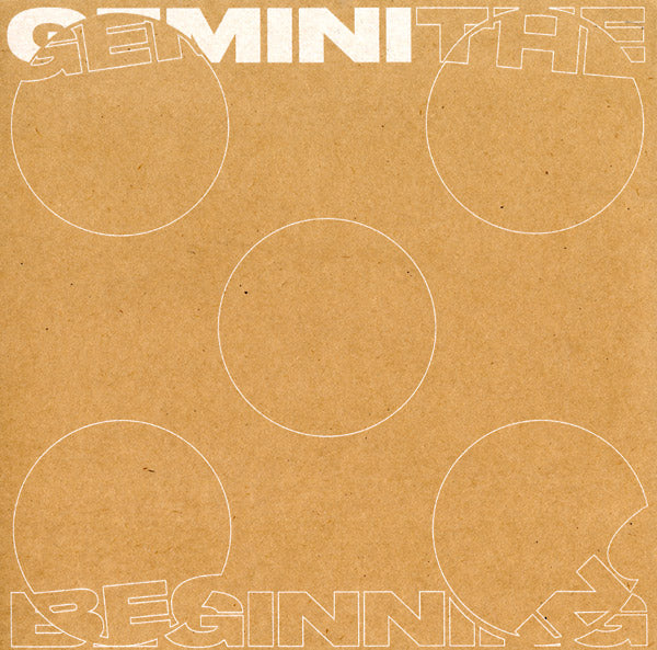 The Beginning Vinyl Record