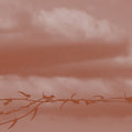 Double Bind Music CD