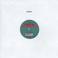 Raping The World We Left Behind Vinyl Record