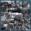 Verdun, 1916 Music CD
