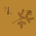 Just 4 You Music CD