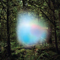 Ghosts of the Forest [2 LP] |