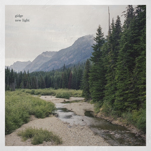 New Light Vinyl Record