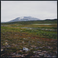 Tundra Vinyl Record