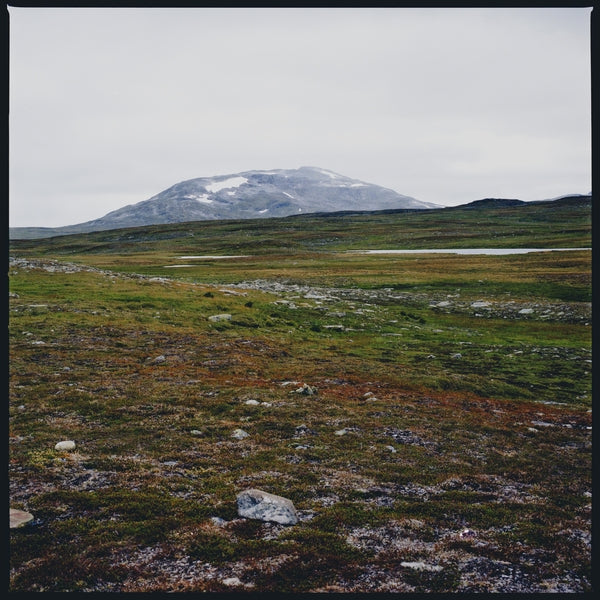 Tundra Vinyl Record