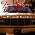 Gin Blossoms - New Miserable Experience (VINYL) | Mint (M) Mint (M)