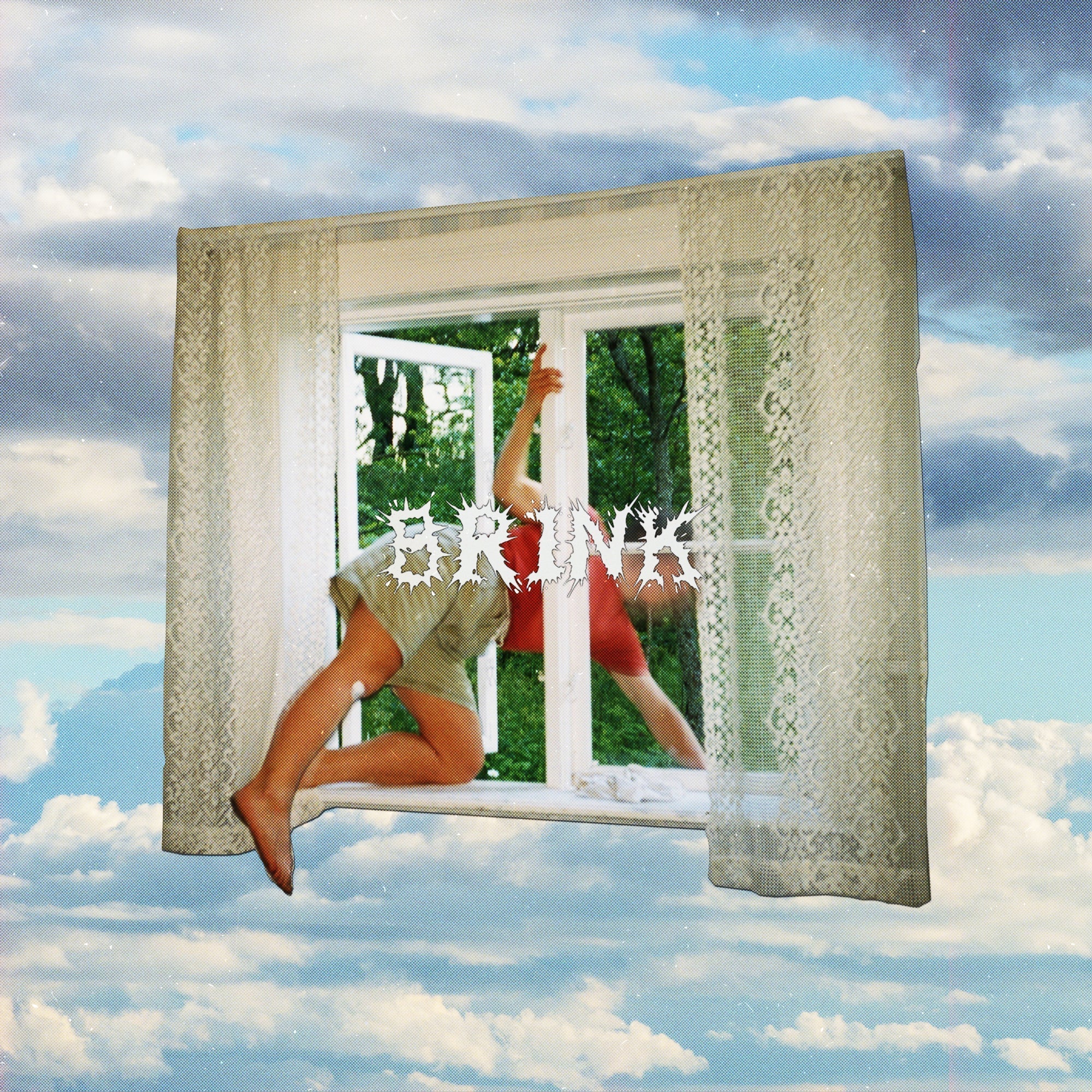 Brink Vinyl Record