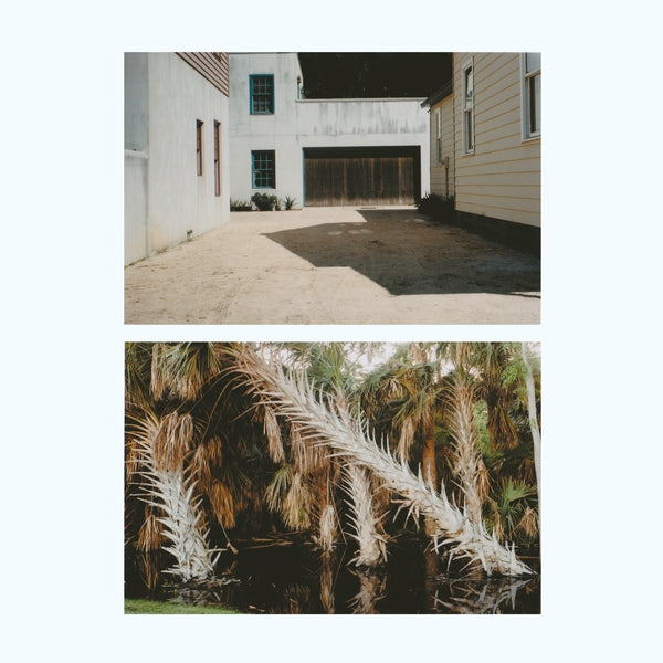 The Vestige [Lp] |