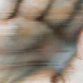 Chapterhouse Retranslated By Global Communication - Blood Music: Pentamerous Metamorphosis (140g 2xVINYL) | Mint (M) Mint (M)