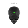 Temple Ov BBV Vinyl Record