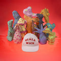 Ocala Wick Vinyl Record
