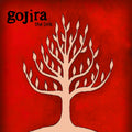 Magma |
