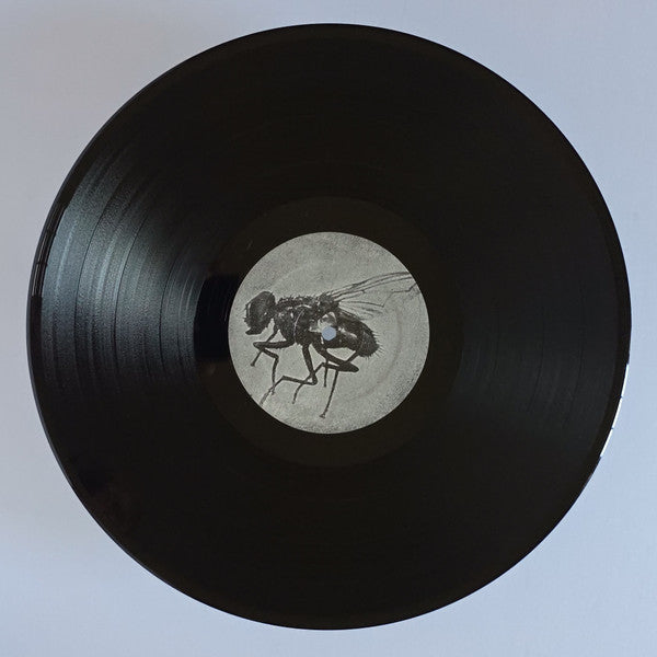 Goodnight El Dorado: Strange Bedfellows In The Aftermath (VINYL)*DISCOUNTED* |
