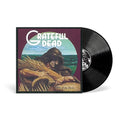 Wake of the Flood (50th Anniversary Remaster) Vinyl Record