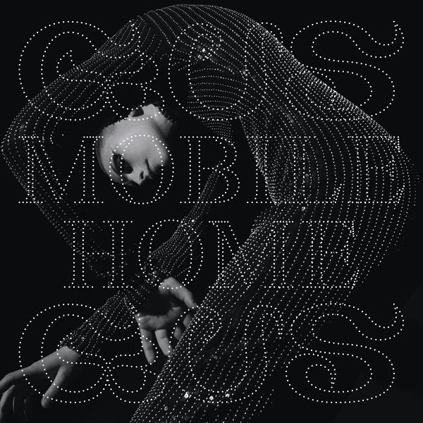 Mobile Home Vinyl Record