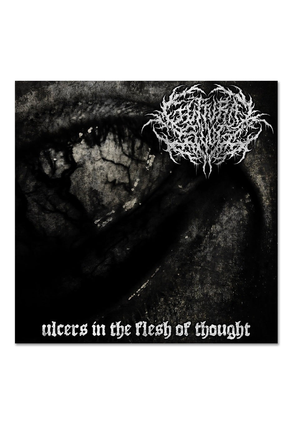 Ulcers In The Flesh Of Thought Music CD