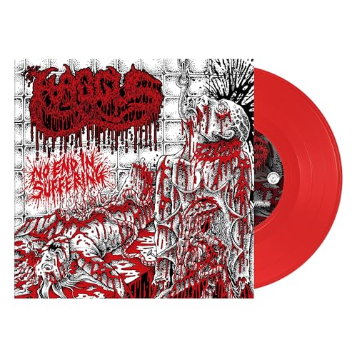 No End In Suffering Vinyl Record