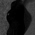 Nurru Wana [Cd] |