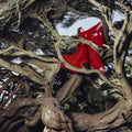 Nested In Tangles (Ruby Red Vinyl) (Vinyl) Vinyl Record
