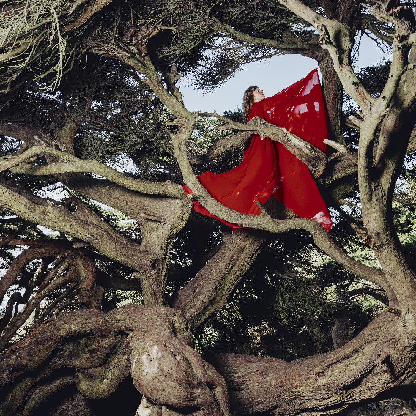 Nested In Tangles (Ruby Red Vinyl) (Vinyl) Vinyl Record