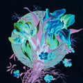 A Handful Of Dust Is A Desert Music CD