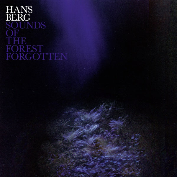 HANS BERG - Sounds Of The Forest Forgotten Vinyl Record