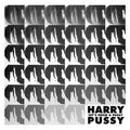Let's Build a Pussy Vinyl Record