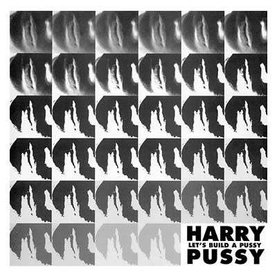 Let's Build a Pussy Vinyl Record