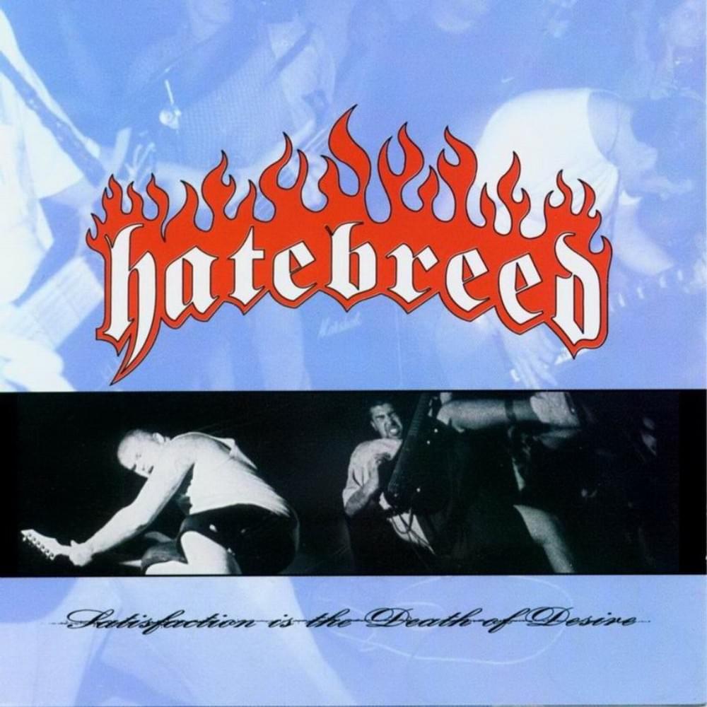 Satisfaction Is the Death of Desire Vinyl Record