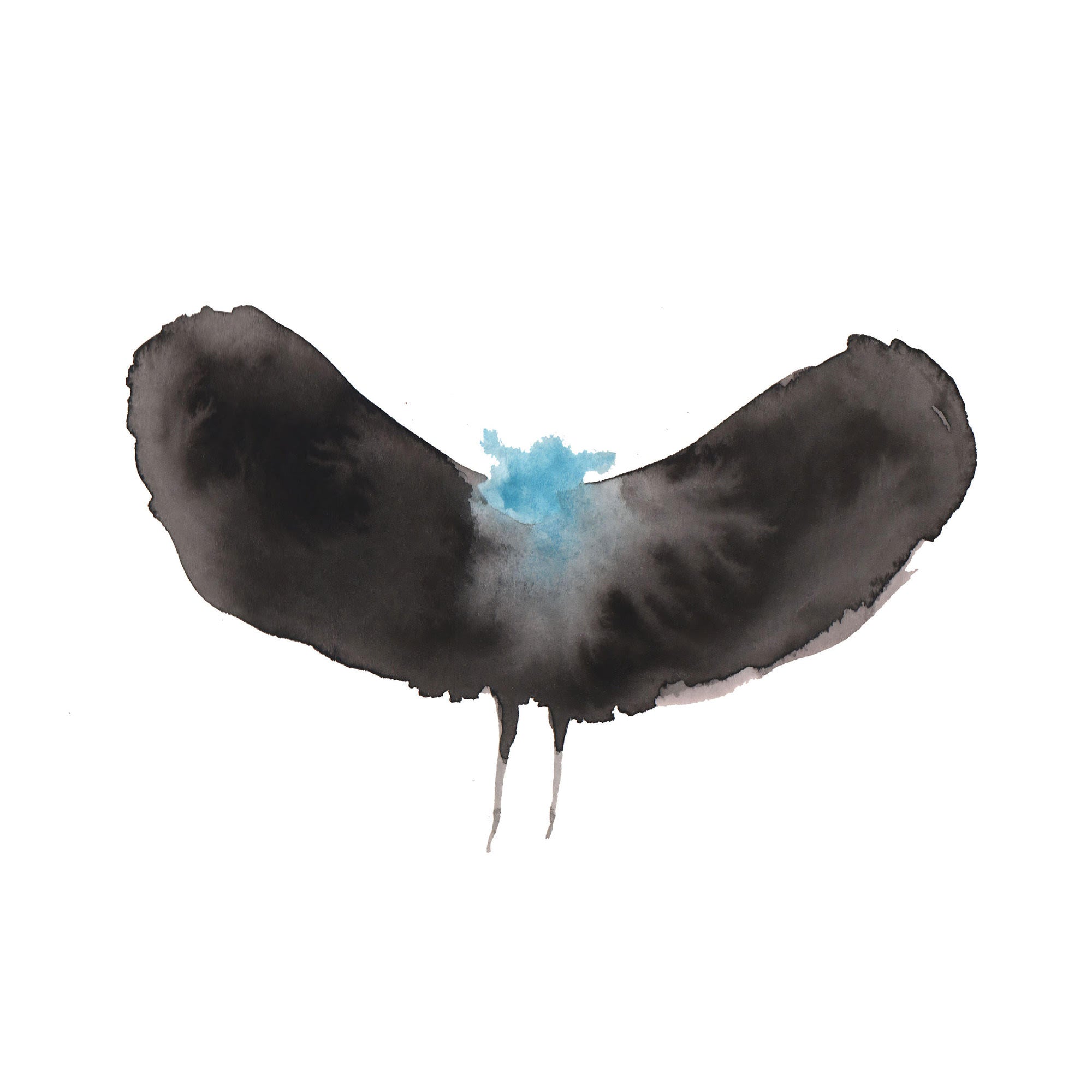 Haywardxdälek [CD] |