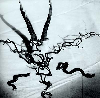 HEAD OF WANTASTIQUET - Mortague Vinyl Record