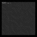 Inspection II Music CD