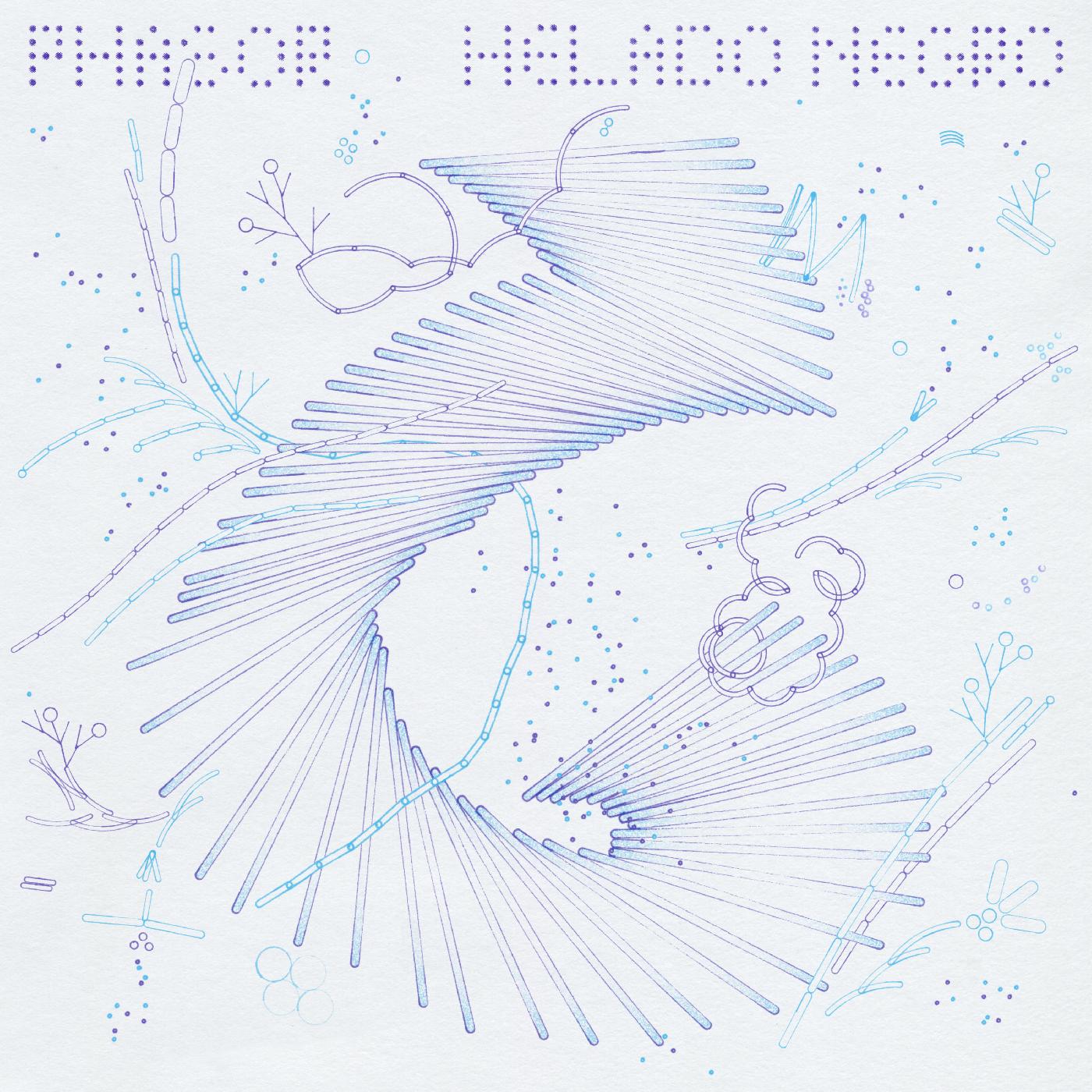 Phasor Music CD