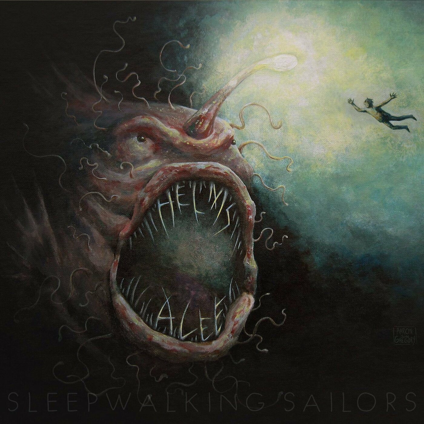 Sleepwalking Sailors Music CD