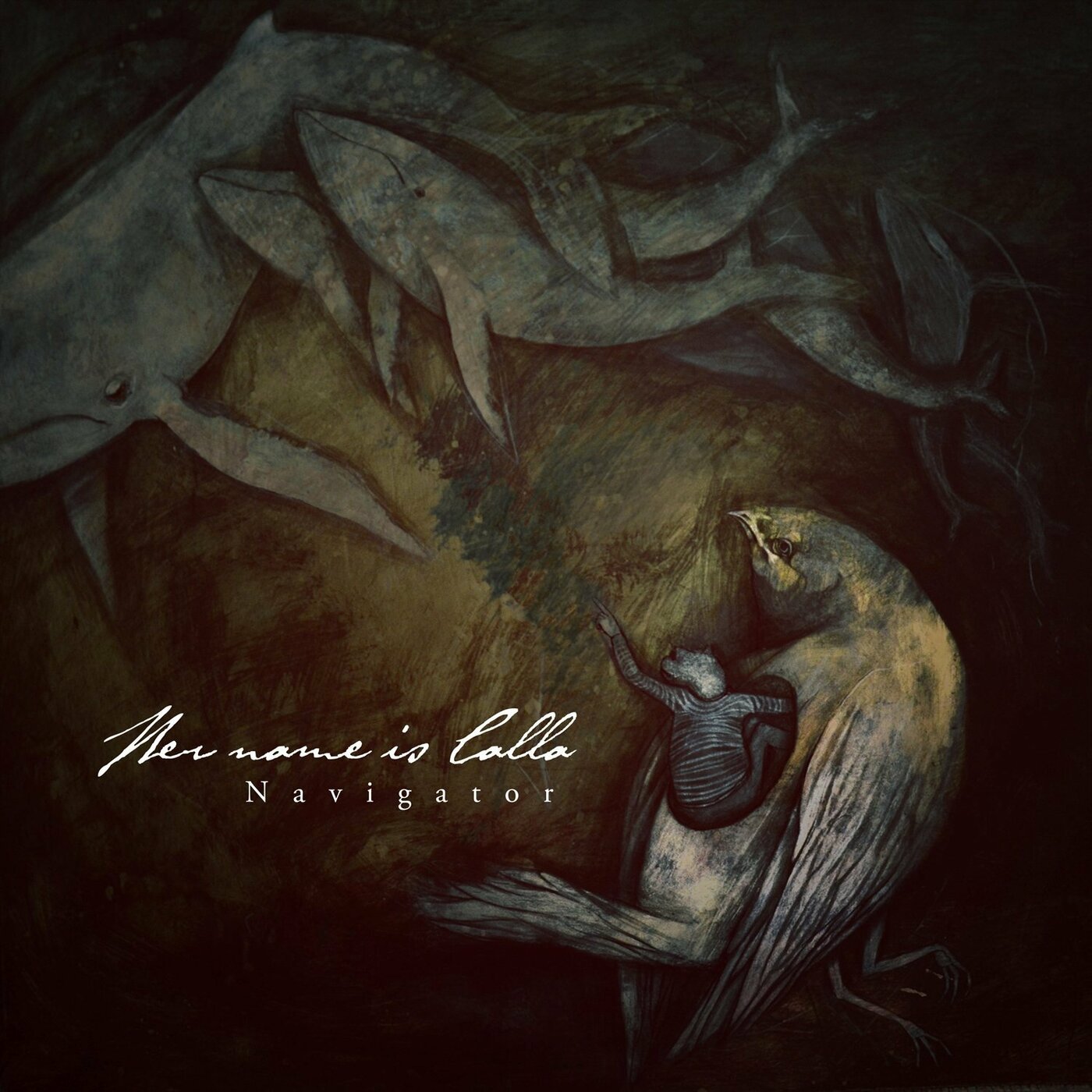 Navigator Music CD