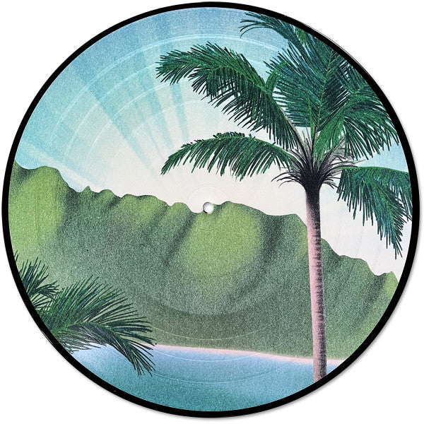 Daymaker *PICTURE LP* | Mint (M) Mint (M)