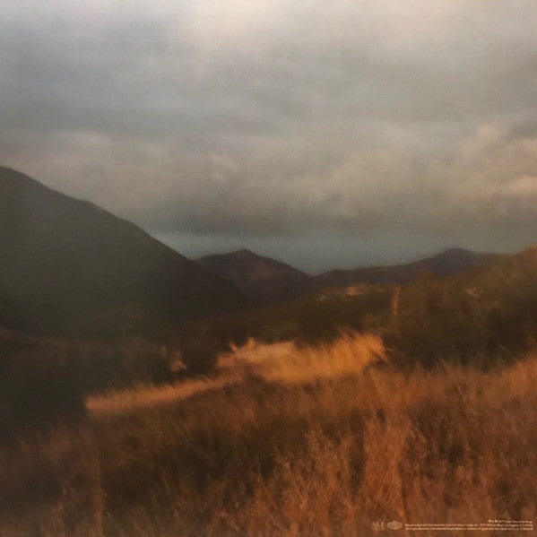 Injury Reserve (VINYL) | Mint (M) Mint (M)
