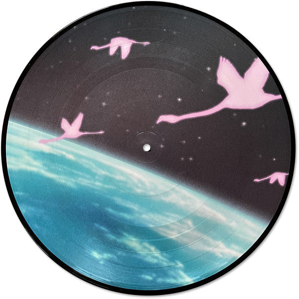 Daymaker *PICTURE LP* | Mint (M) Mint (M)