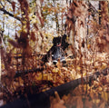 Billy Woods - Golliwog (2xVINYL) |