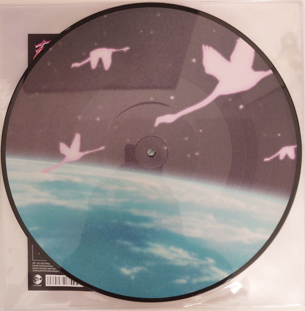 Daymaker *PICTURE LP* | Mint (M) Mint (M)