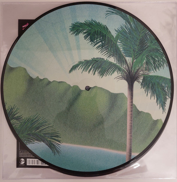 Daymaker *PICTURE LP* | Mint (M) Mint (M)