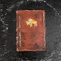 Apollo Brown & Che' Noir - As God Intended... ("BROWN SABBATH" COLOR VINYL) |