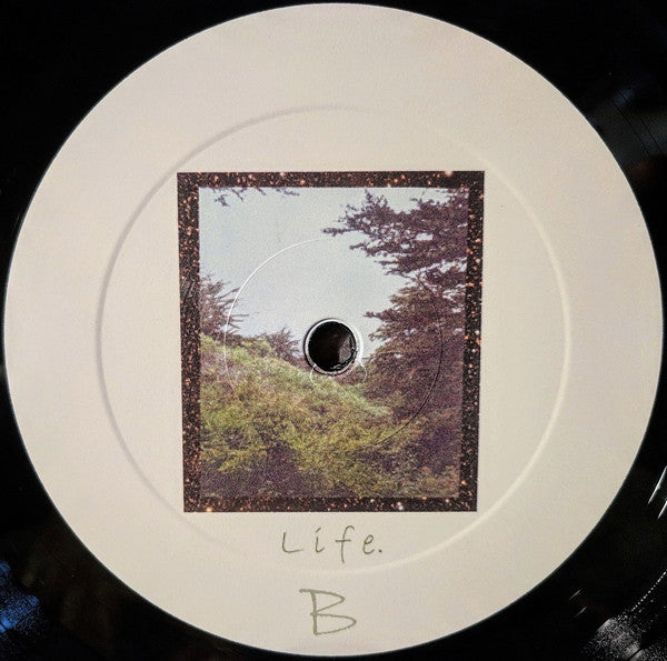 Jinsang - Life. (VINYL) | Mint (M) Mint (M)