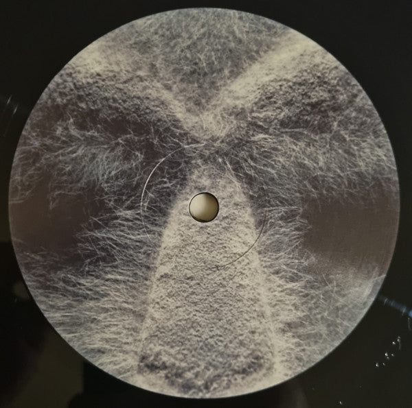 MF DOOM - Born Like This (2xVINYL) | Mint (M) Mint (M)