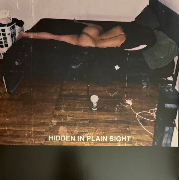 Hidden In Plain Sight (VINYL) | Mint (M) Mint (M)