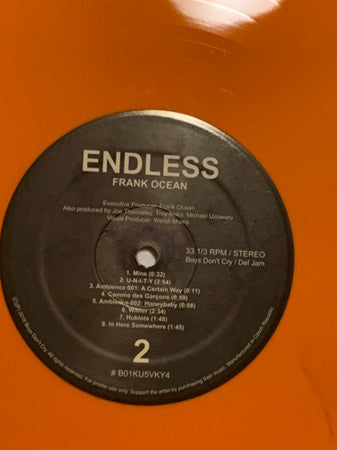 Endless (2xUNOFFICIAL COLOR VINYL) |
