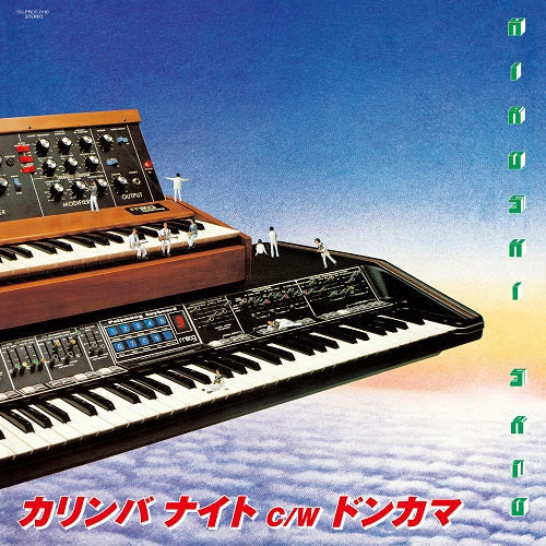 Karinbanite / Donkama Vinyl Record