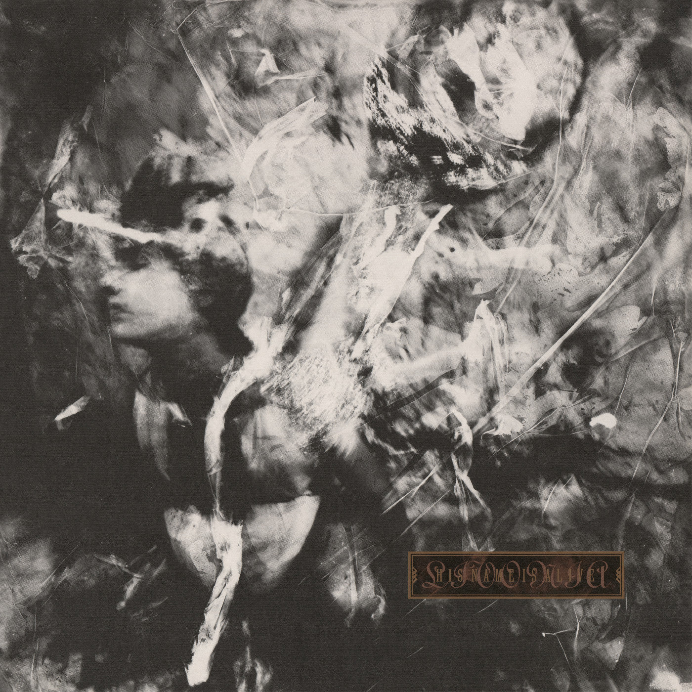His Name Is Alive - Livonia Vinyl Record