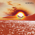 Good Good Desperation Music CD