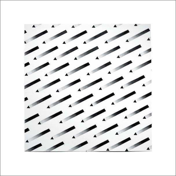 Hidden Cities Vinyl Record
